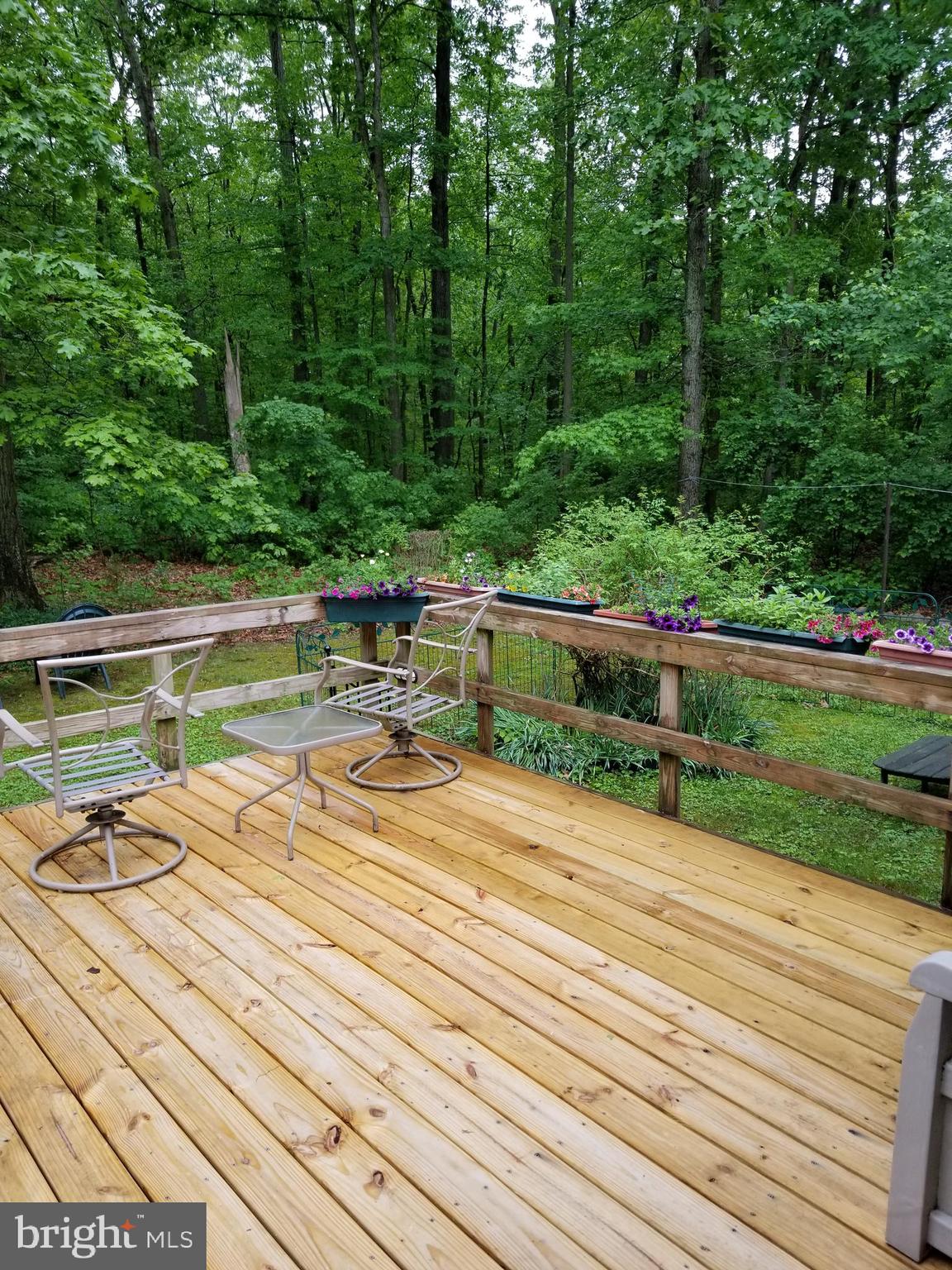 527 Money Road Townsend, DE 19734 - Photo 28 of 100 Deck