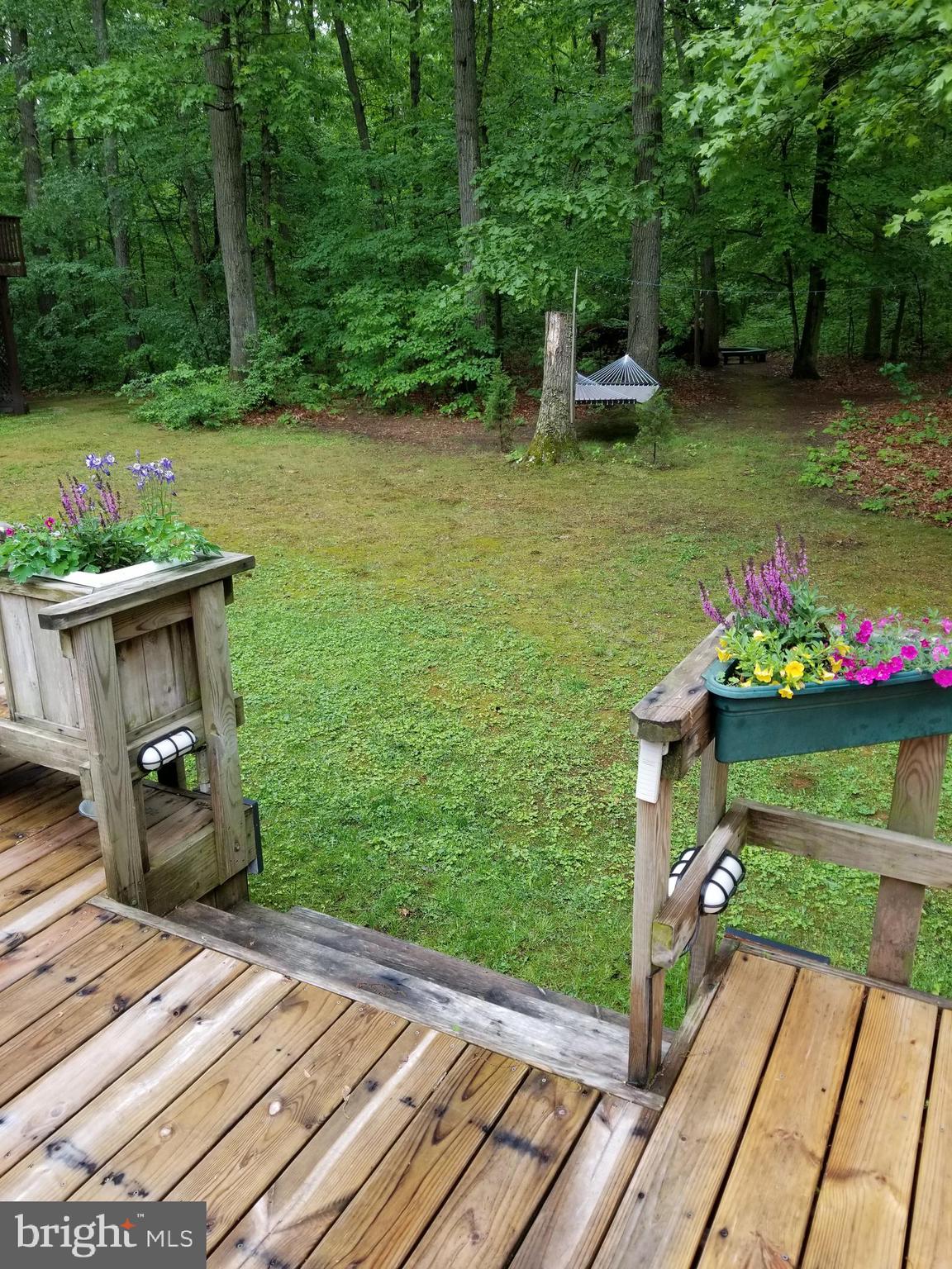527 Money Road Townsend, DE 19734 - Photo 29 of 100 View from the deck
