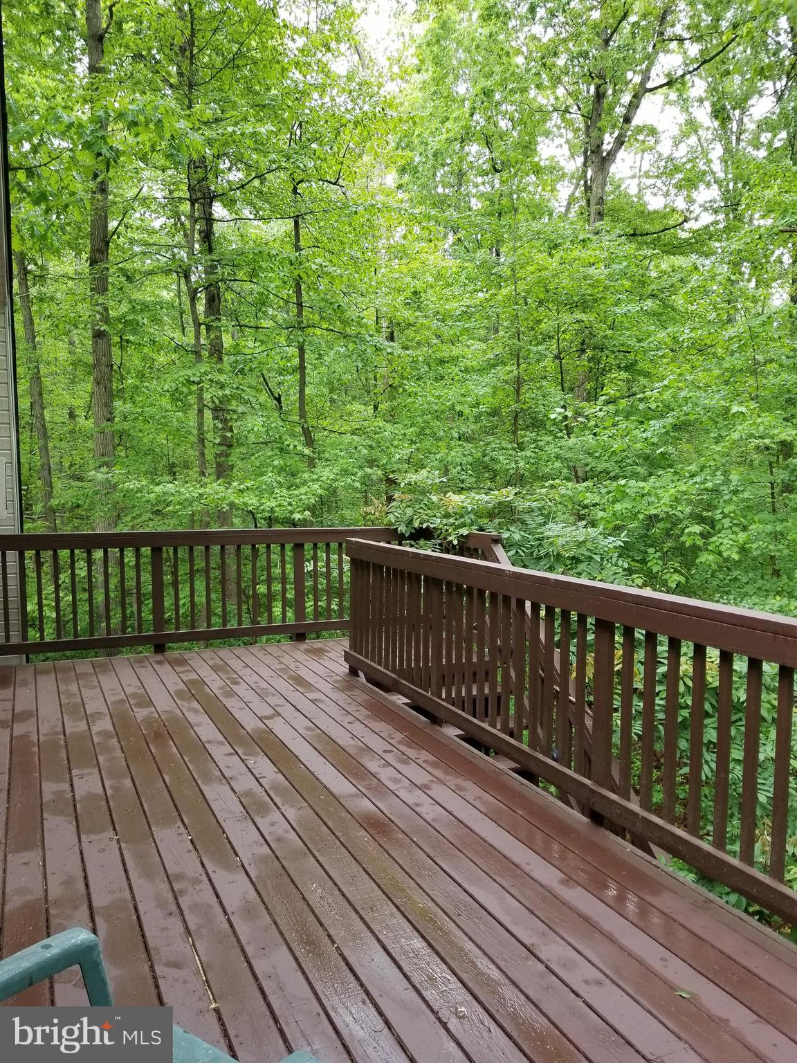 527 Money Road Townsend, DE 19734 - Photo 44 of 100 Garage balcony view
