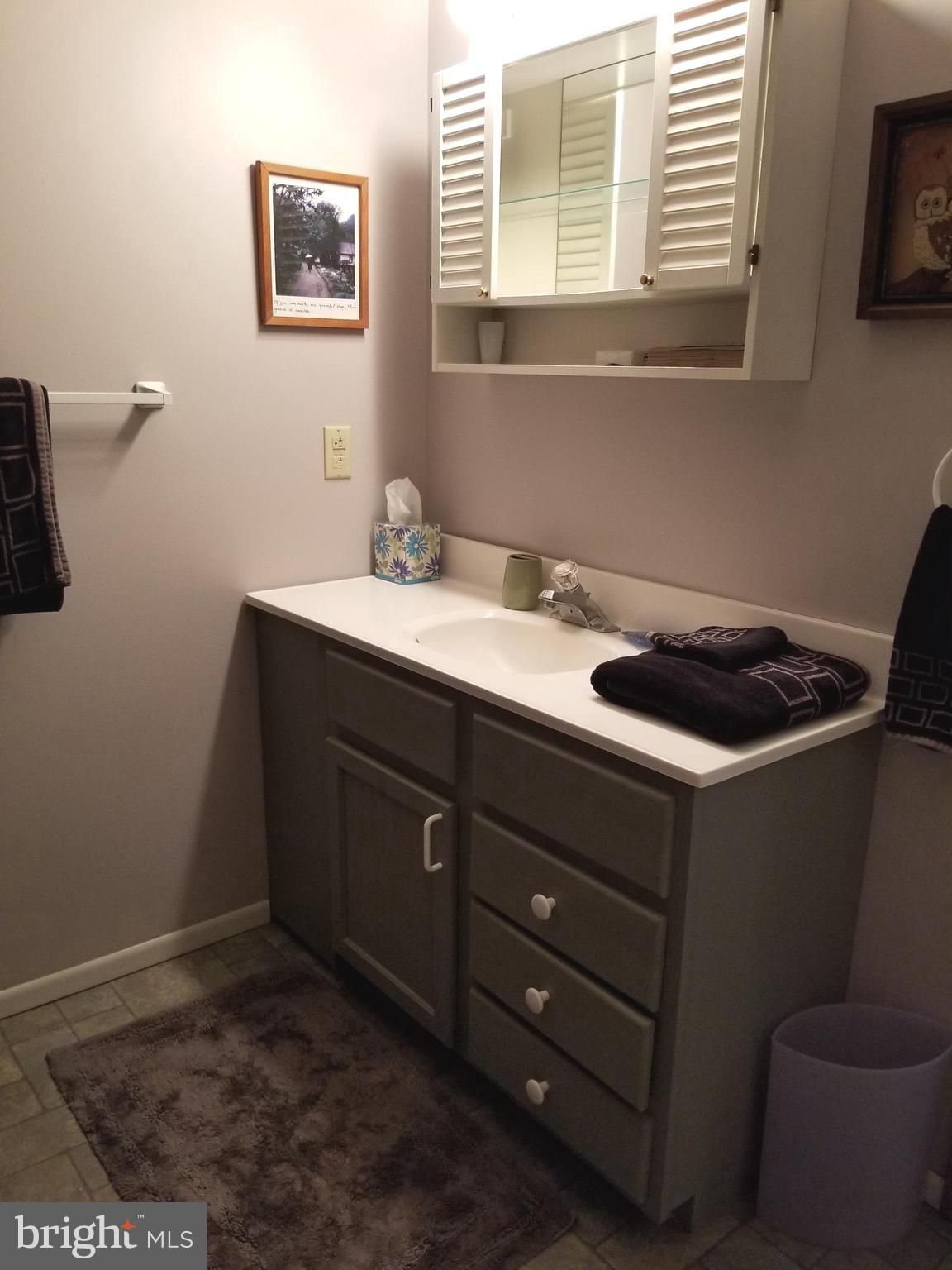 527 Money Road Townsend, DE 19734 - Photo 62 of 100 Apartment bathroom