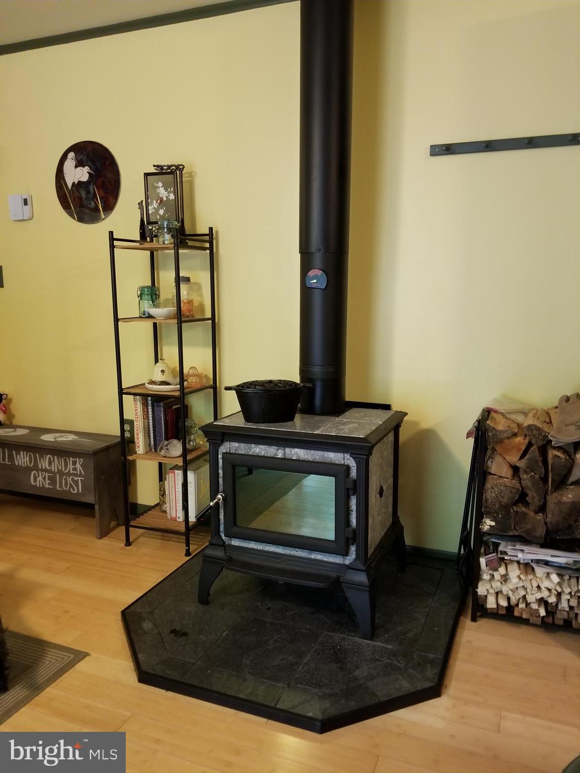 527 Money Road Townsend, DE 19734 - Photo 8 of 100 New wood stove