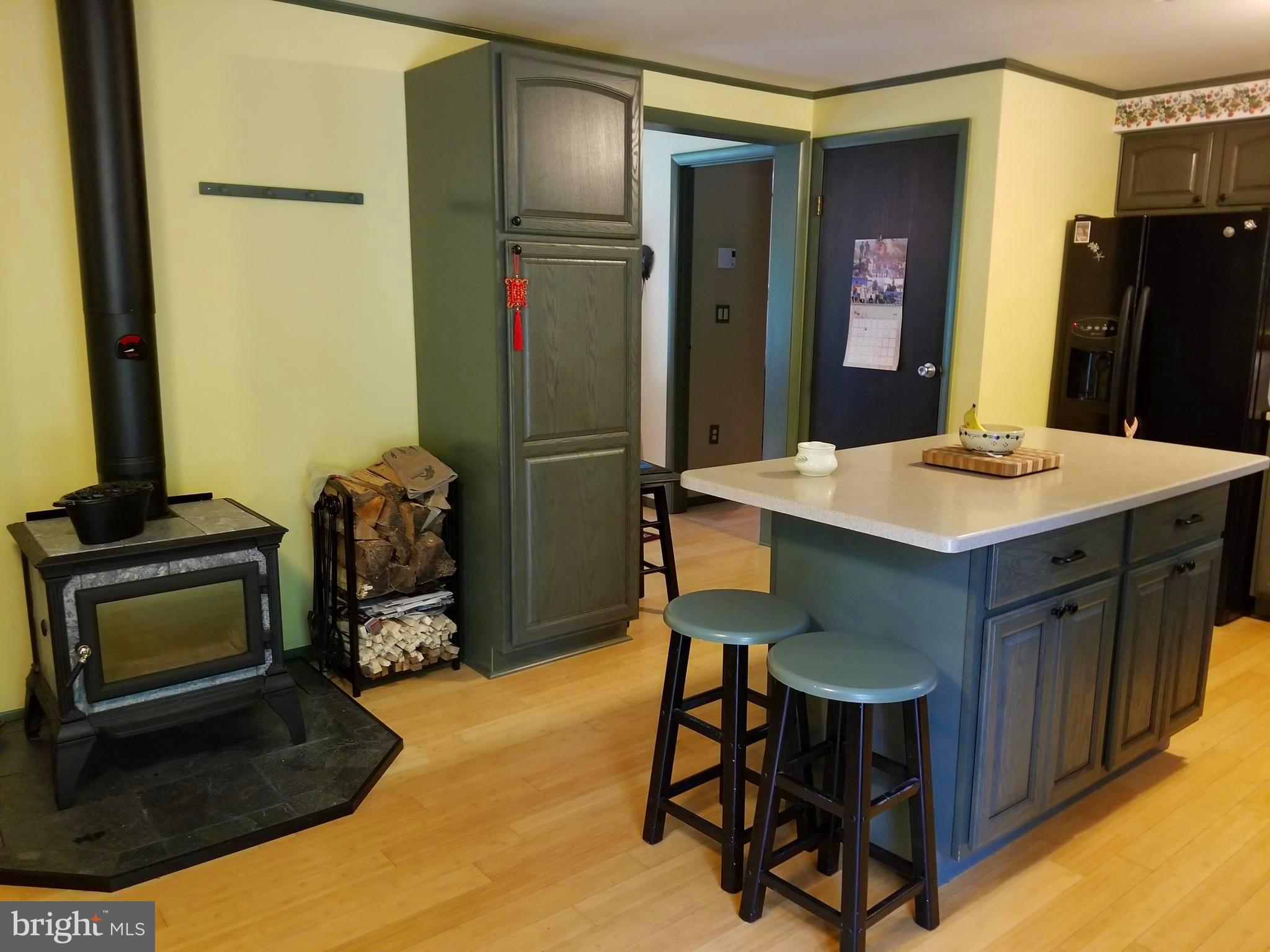 527 Money Road Townsend, DE 19734 - Photo 9 of 100 Plenty of cabinetry in the kitchen