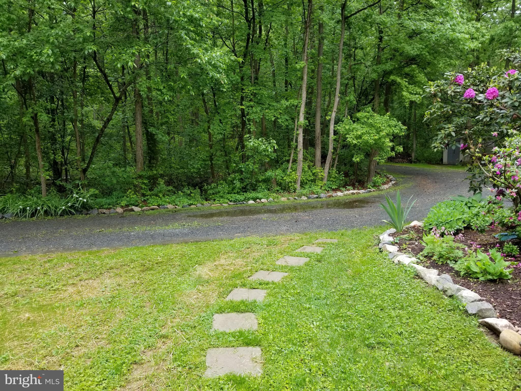 527 Money Road Townsend, DE 19734 - Photo 82 of 100 Breathe in the serenity