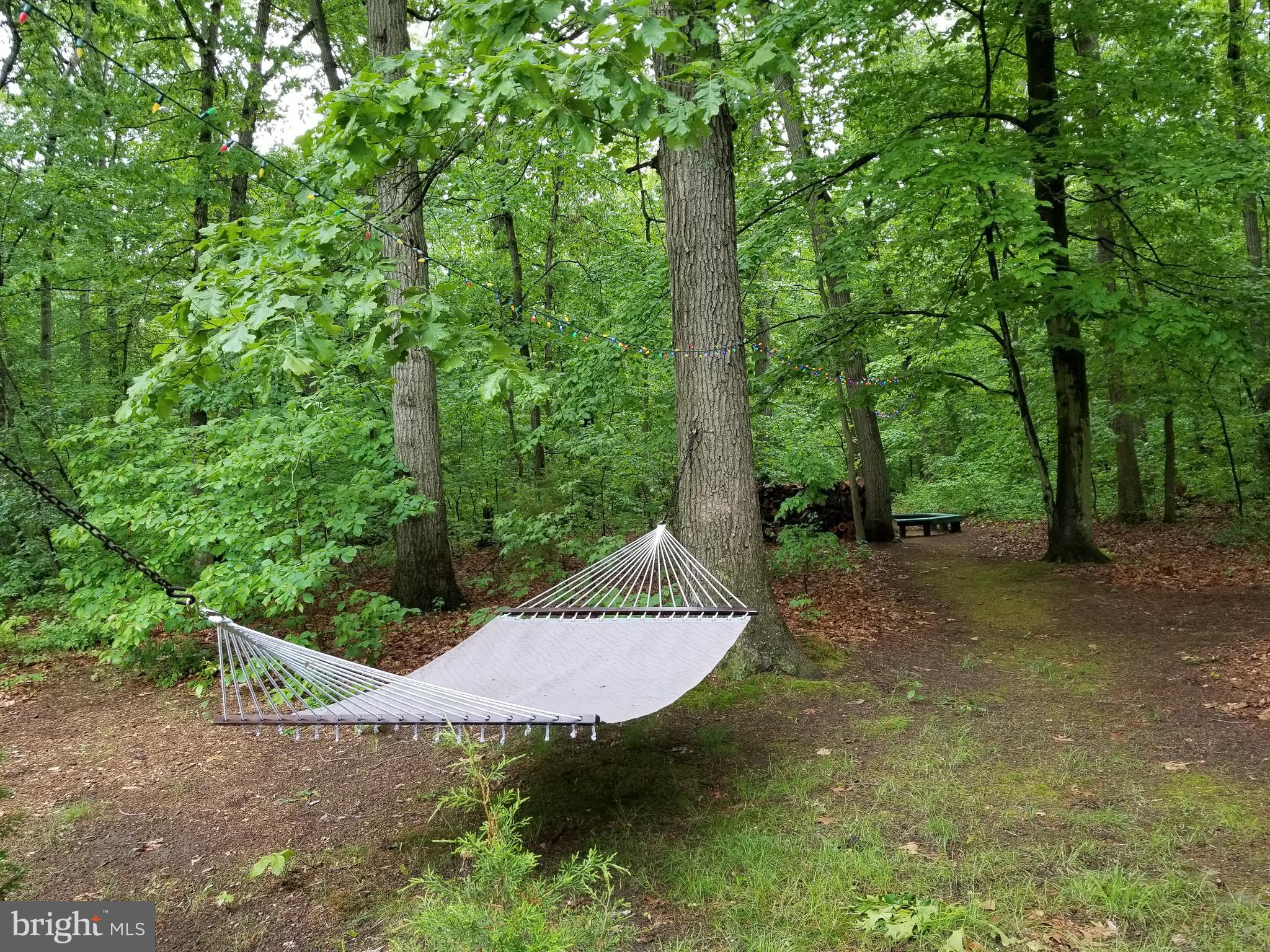 527 Money Road Townsend, DE 19734 - Photo 88 of 100 Leisurely afternoons swaying in the hammock