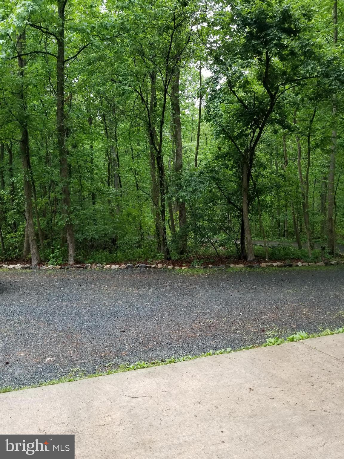 527 Money Road Townsend, DE 19734 - Photo 91 of 100 View from the garage