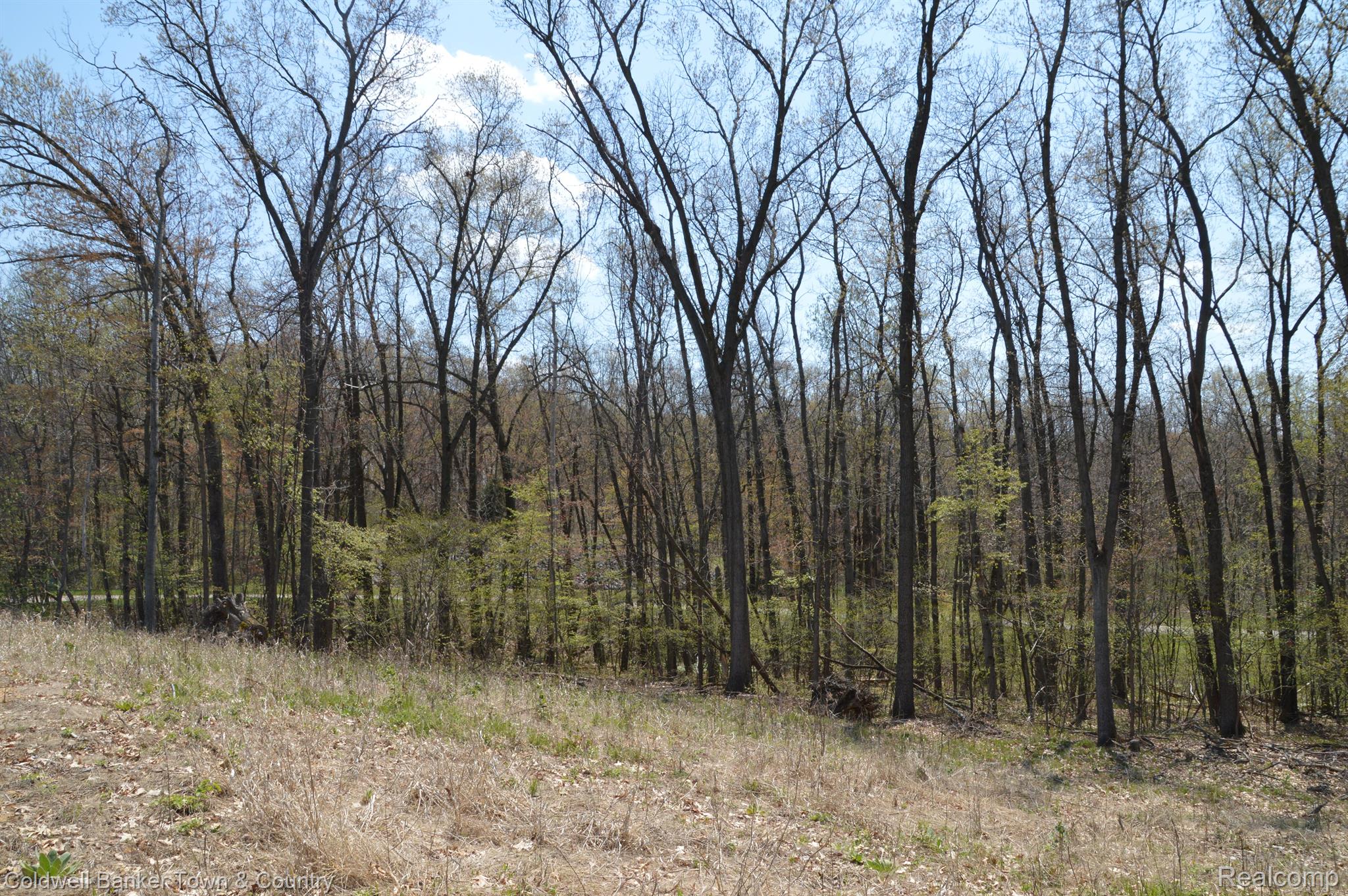 16240 Catalpa Ridge Holly, MI 48442 - Photo 18 of 25 Gallery Image 18