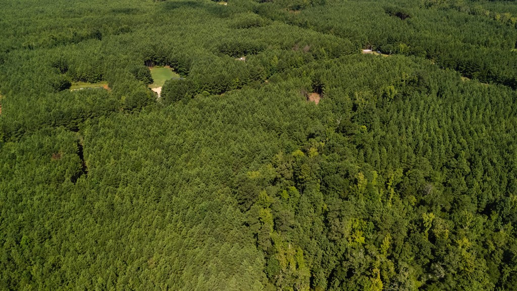 0 Fortune Hole Road East Hamilton, GA 31811 - Photo 7 of 7