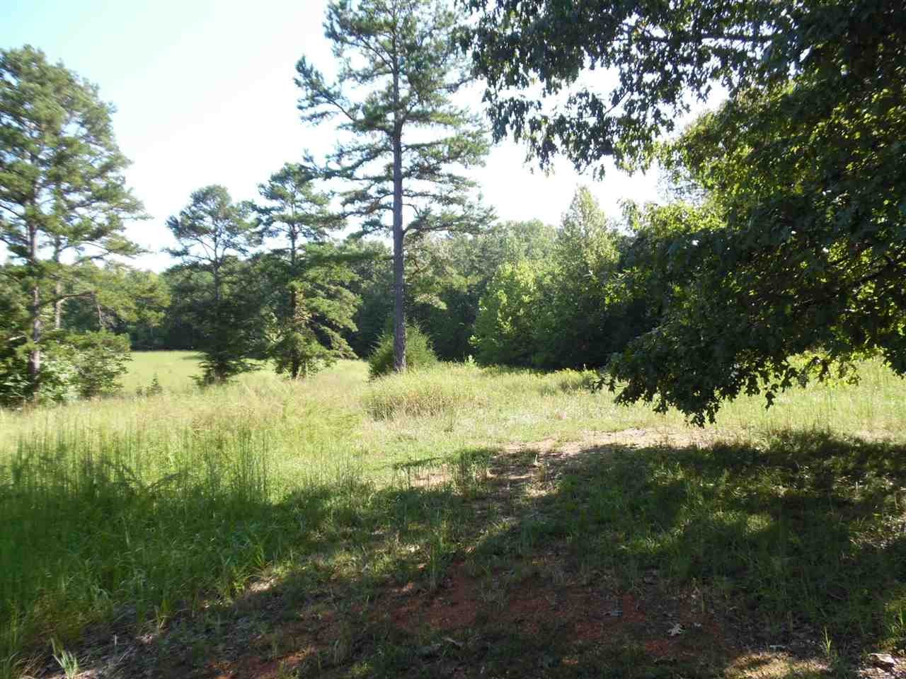 0 Burnt Church Road Clifton, TN 38425 - Photo 3 of 5 Gallery Image 3