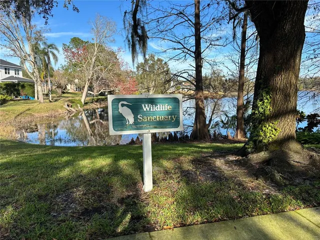 a view of a park with large trees