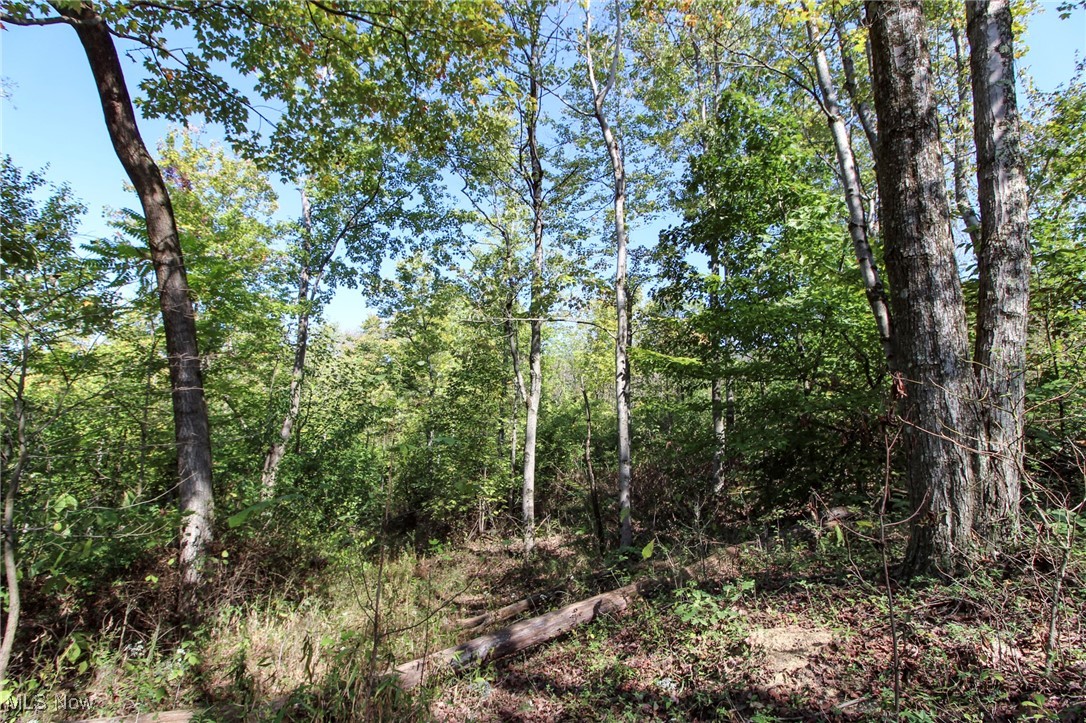 Lot 3 Moss Run Road Marietta, OH 45750 - Photo 10 of 14 View of wooded area