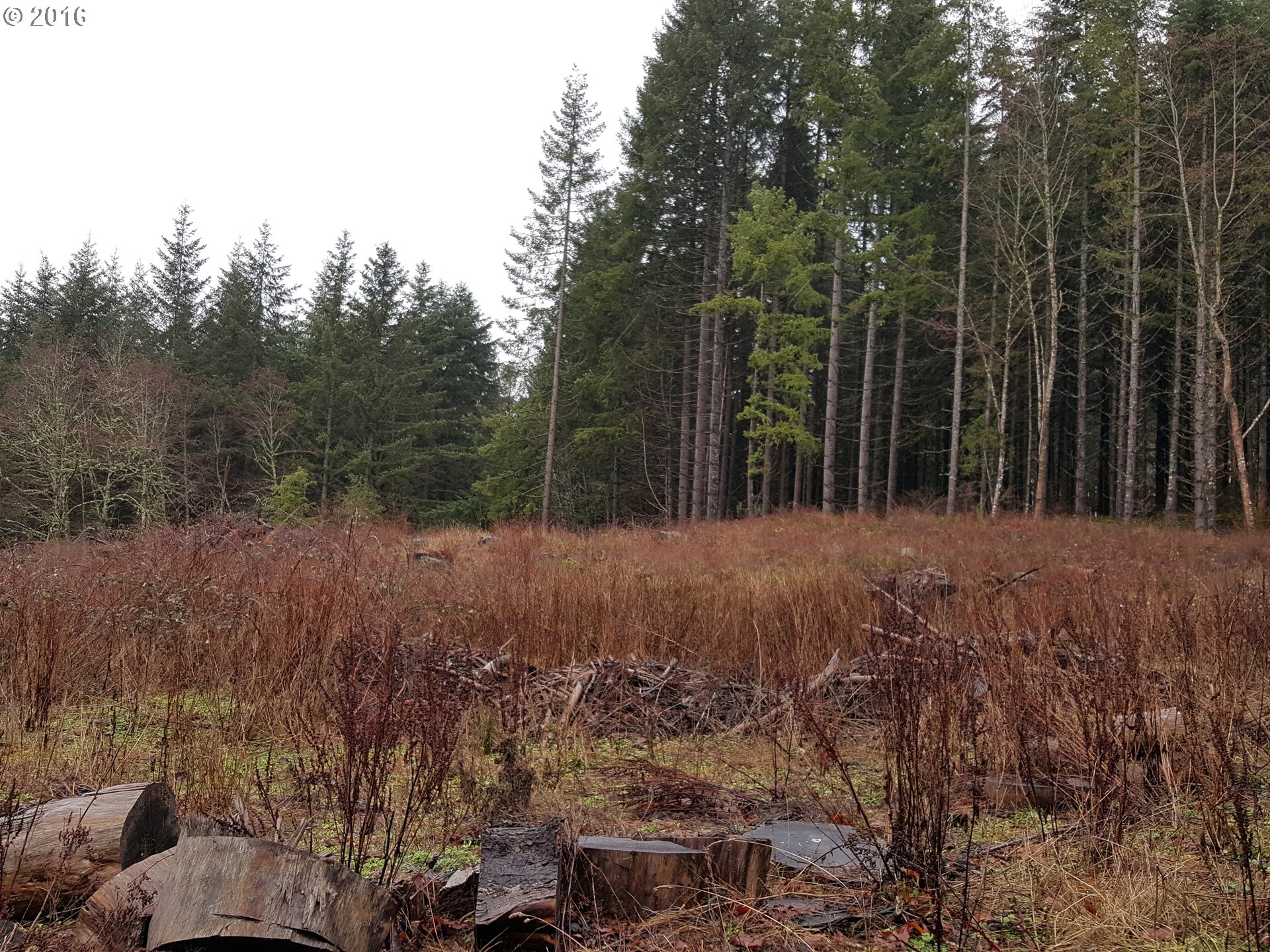 4280 Green Mountain Road Kalama, WA 98625 - Photo 32 of 32 Acreage