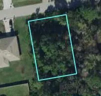 a view of a small yard