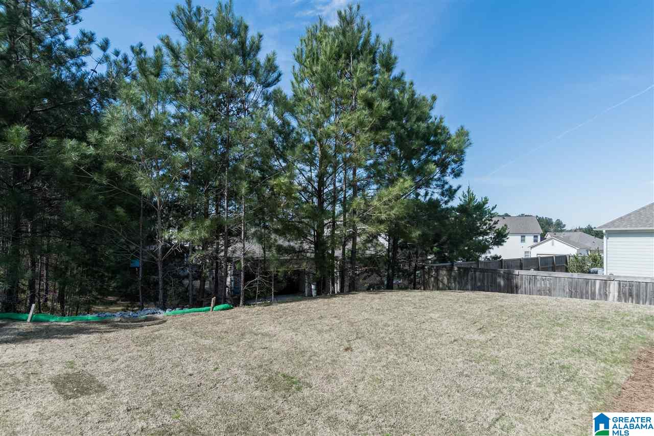 604 Rosebury Road Helena, AL 35080 - Photo 44 of 46