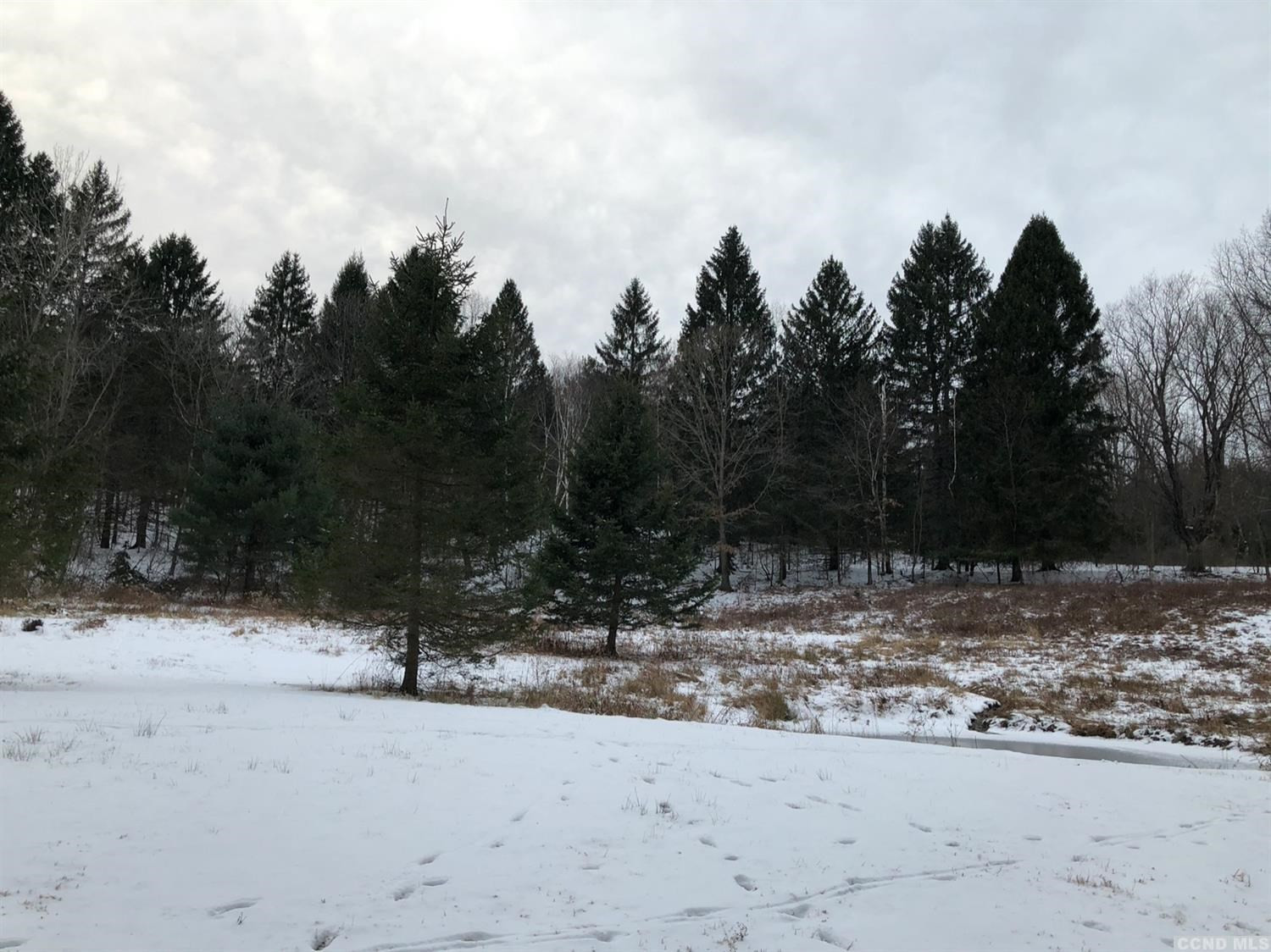 0 Rt 7 Copake, NY 12516 - Photo 1 of 5 a view of a yard covered in snow