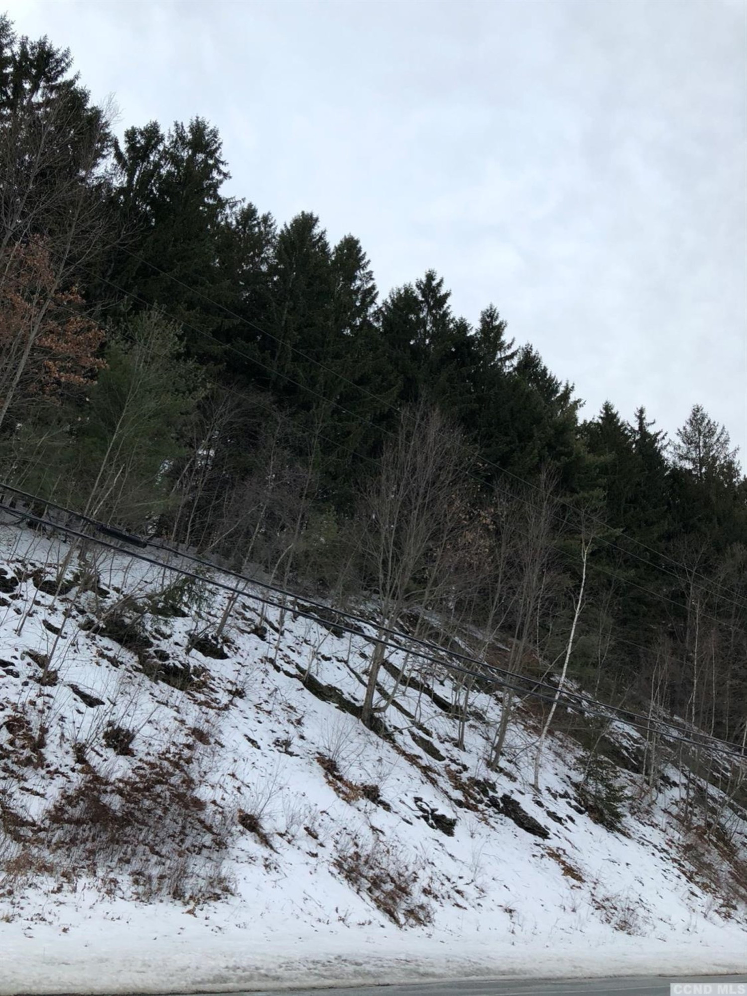 0 Rt 7 Copake, NY 12516 - Photo 5 of 5 a view of a backyard with trees
