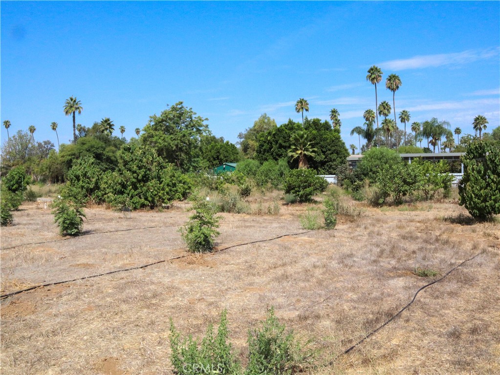 2523 Jefferson Street Riverside, CA 92504 - Photo 52 of 59 Gallery Image 52