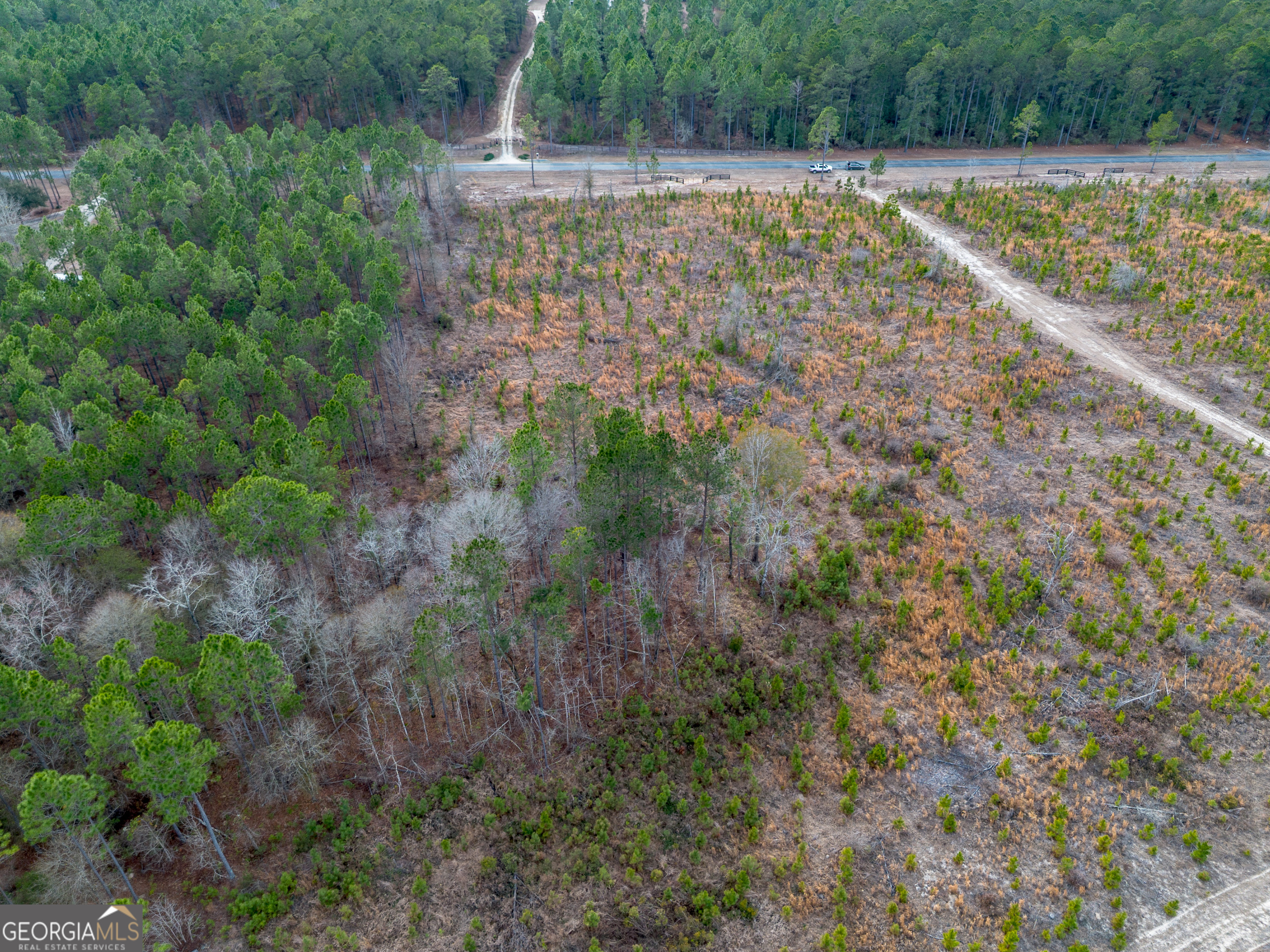5 Bell Line Road Eastman, GA 31023 - Photo 3 of 8 a view of a yard with large trees