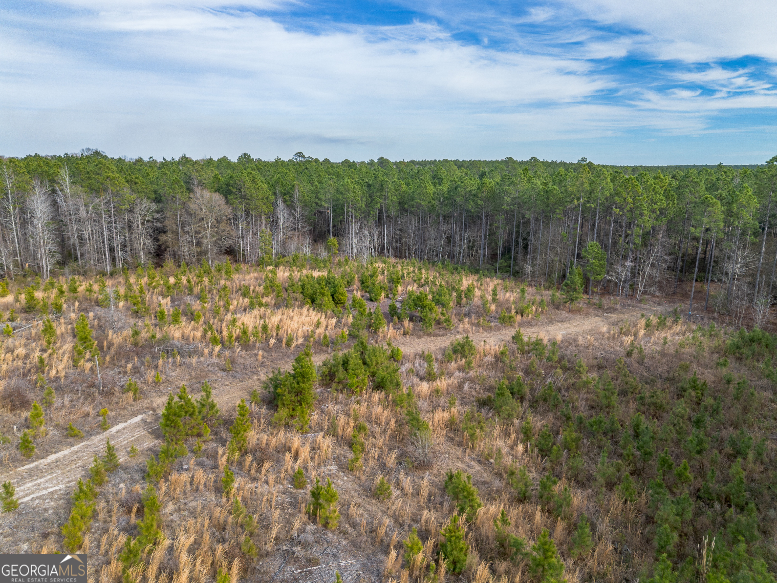 5 Bell Line Road Eastman, GA 31023 - Photo 4 of 8 a view of lake with mountain