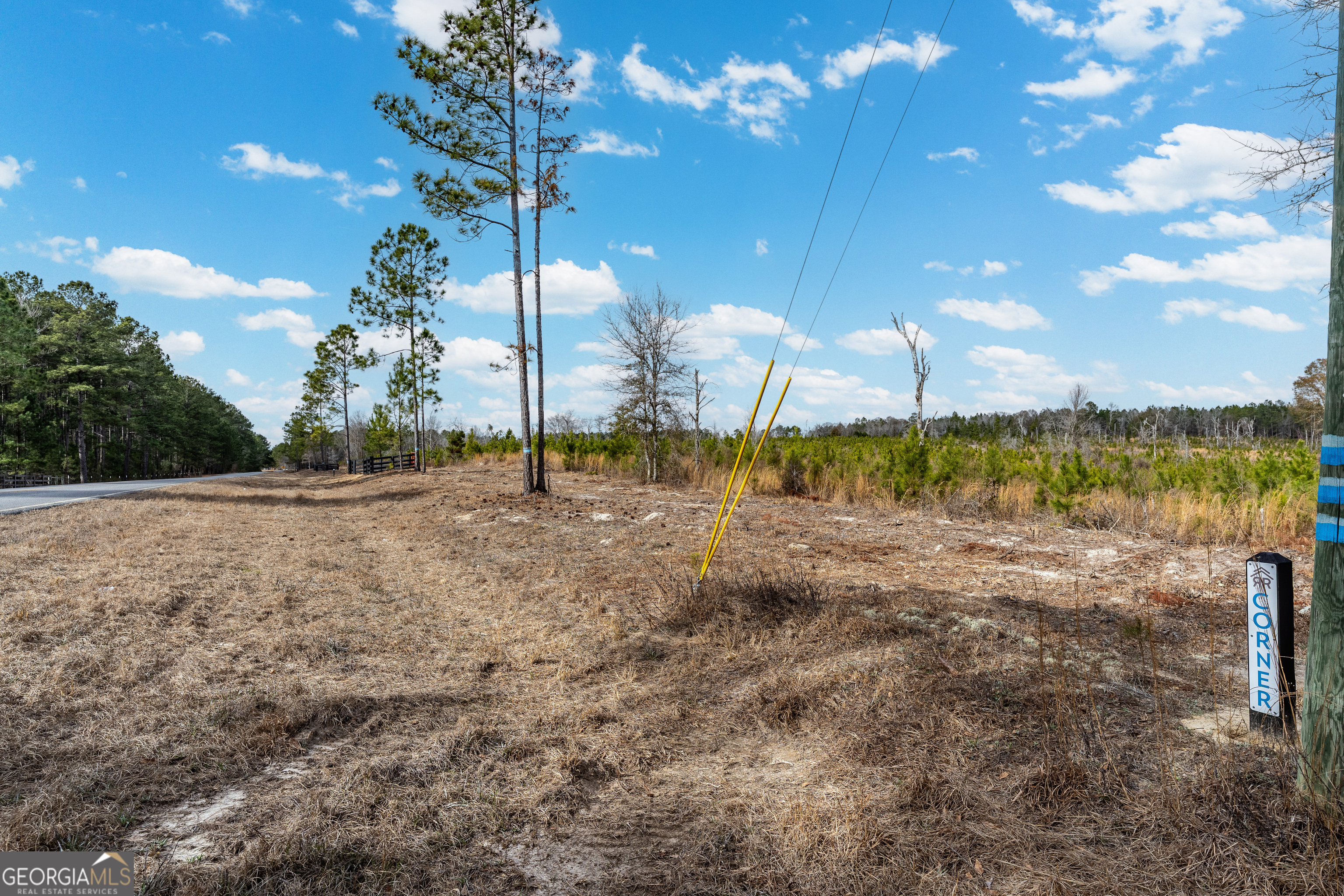 5 Bell Line Road Eastman, GA 31023 - Photo 5 of 8 a view of a yard