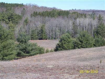 1 14 Mile Road Luther, MI 49656 - Photo 1 of 5 Primary Photo