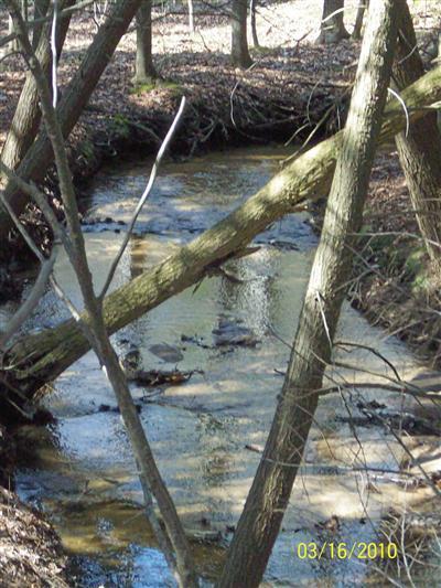 1 14 Mile Road Luther, MI 49656 - Photo 2 of 5 Additional Photo
