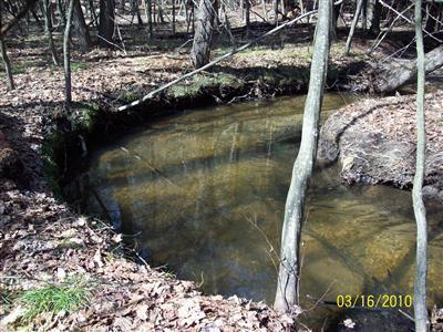 1 14 Mile Road Luther, MI 49656 - Photo 3 of 5 Additional Photo