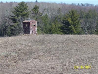 1 14 Mile Road Luther, MI 49656 - Photo 4 of 5 Additional Photo