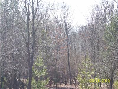 1 14 Mile Road Luther, MI 49656 - Photo 5 of 5 Additional Photo