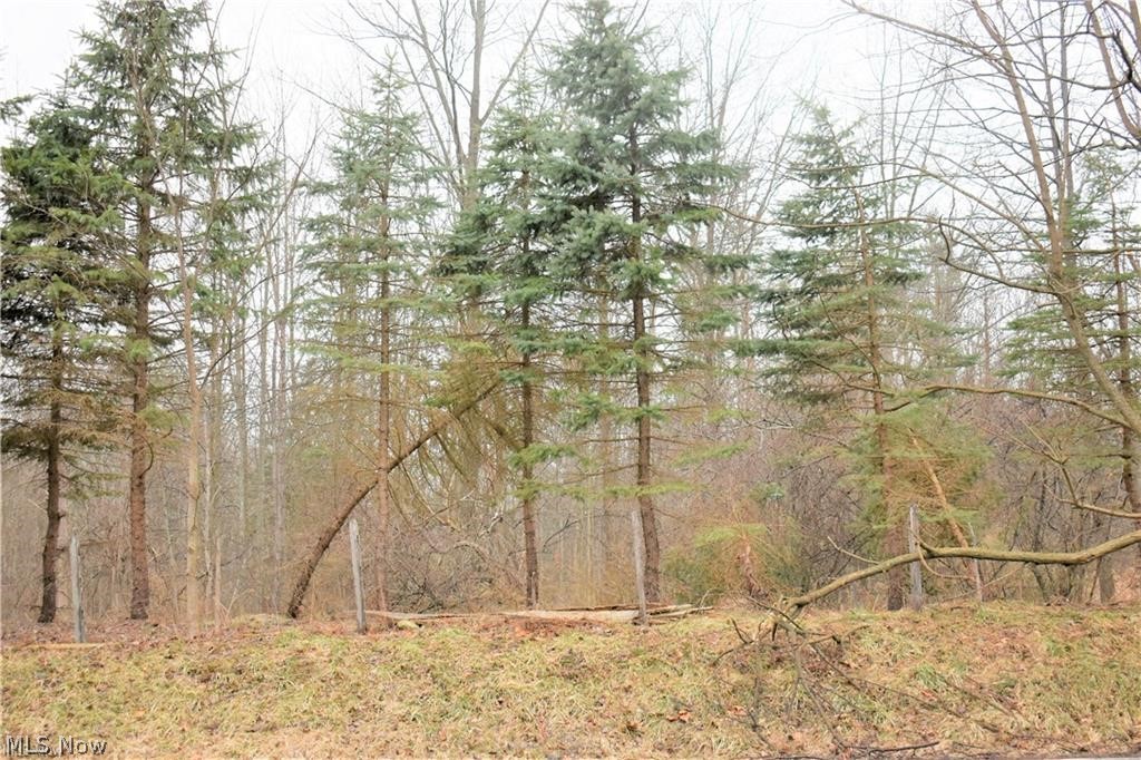 1350 County Line Road Gates Mills, OH 44040 - Photo 9 of 11