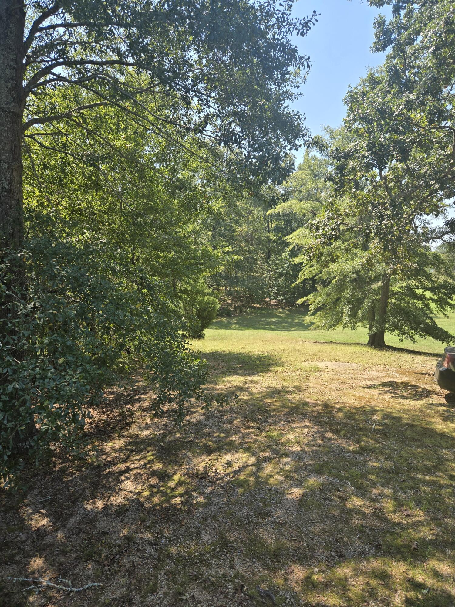 6108 Danburg Road Tignall, GA 30668 - Photo 4 of 33 20250915_132506_resized