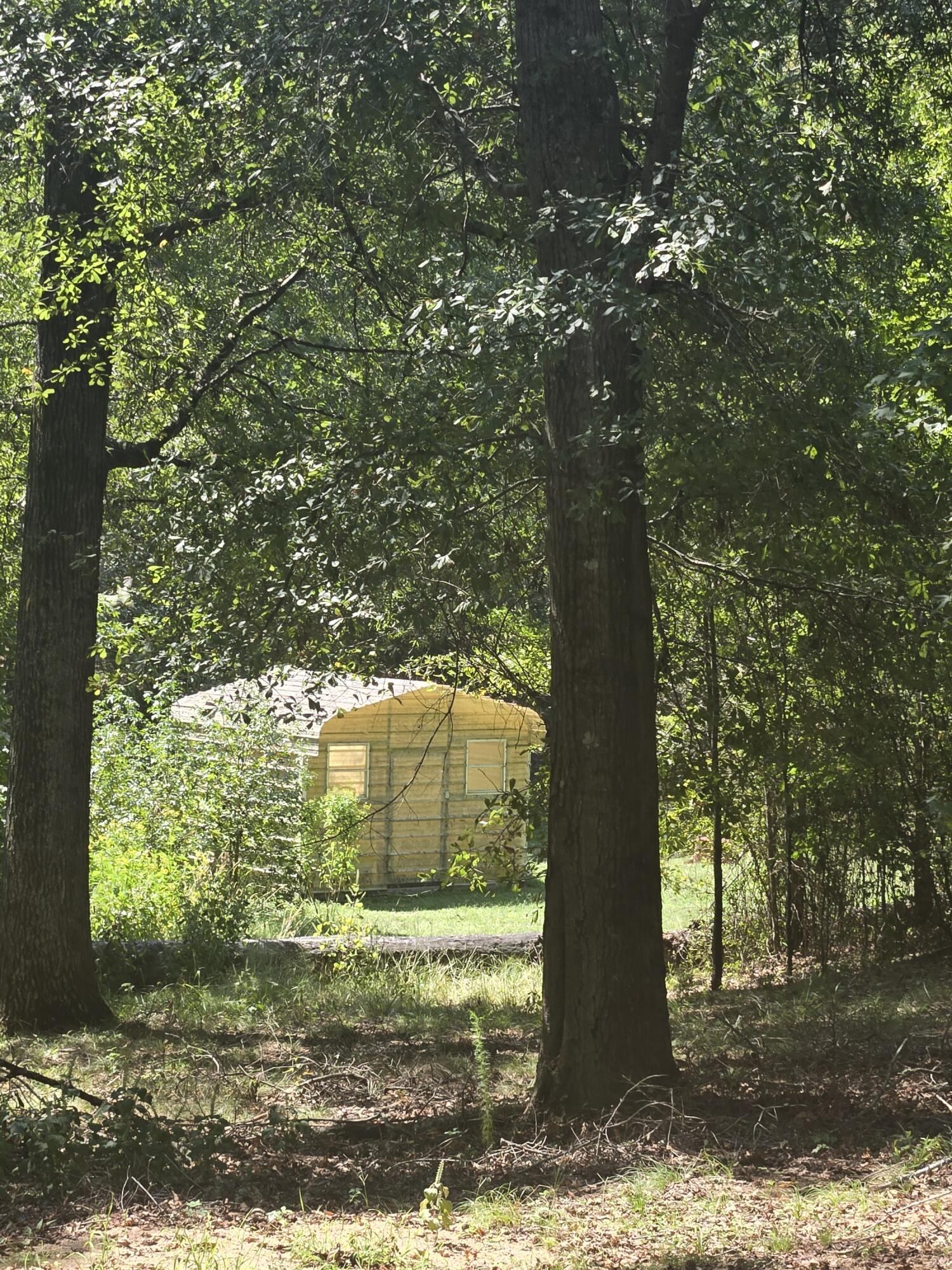 6108 Danburg Road Tignall, GA 30668 - Photo 9 of 33 20250915_133217_resized