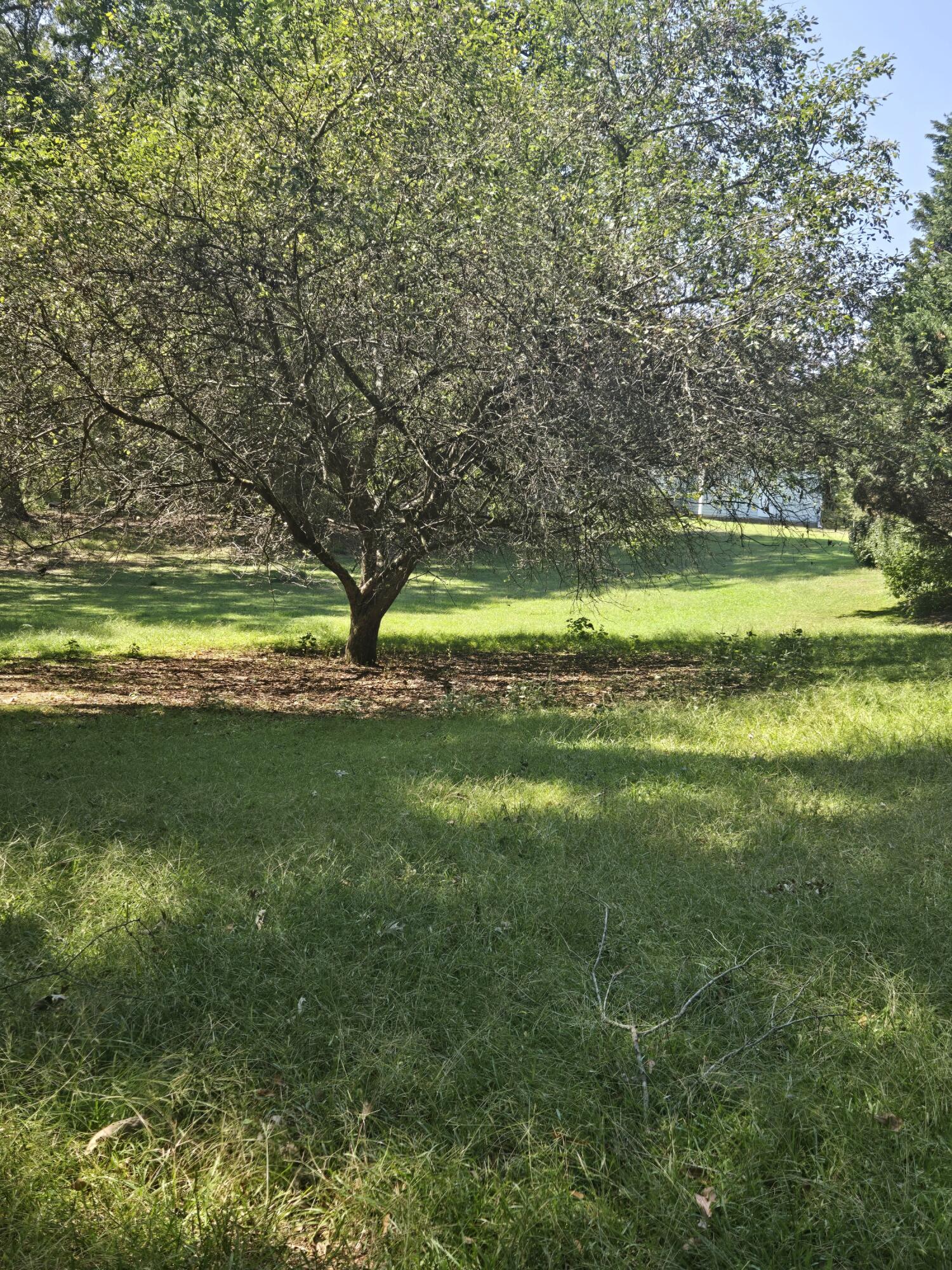 6108 Danburg Road Tignall, GA 30668 - Photo 10 of 33 20250915_133010_resized