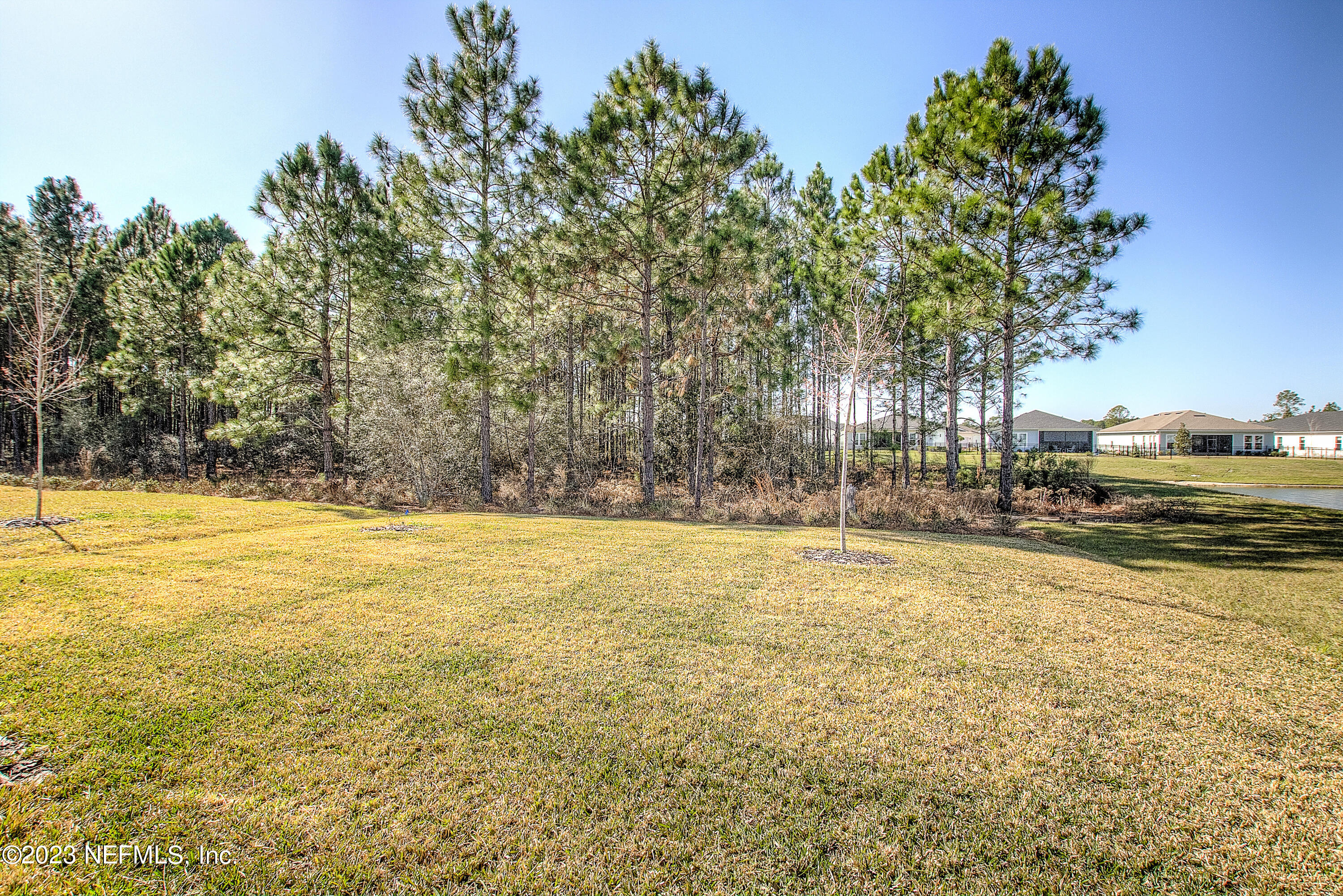 1066 Rustic Mill Dr Street St. Augustine, FL 32092 - Photo 59 of 74 20230206-1066_Rustic_Ml_Dr-14