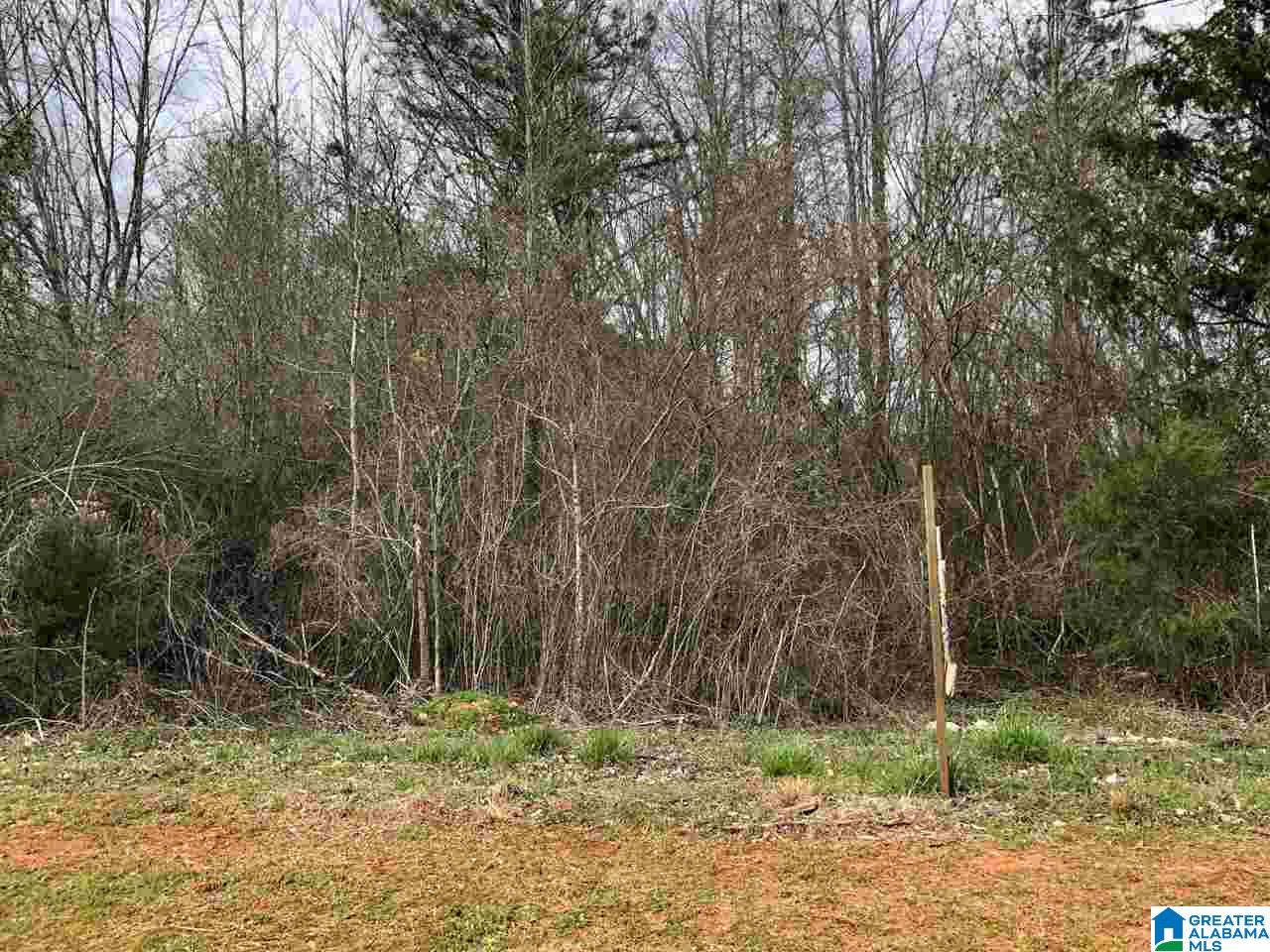 0 Almaroad Place, Unit 105 Jacksonville, AL 36265 - Photo 3 of 7