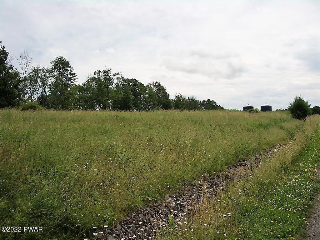 Lot 2 Avoy Heights Road Lake Ariel, PA 18436 - Photo 3 of 9