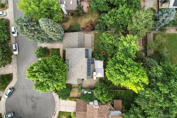 a view of a park with trees