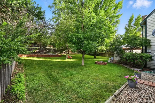 a view of a backyard with a small cabin