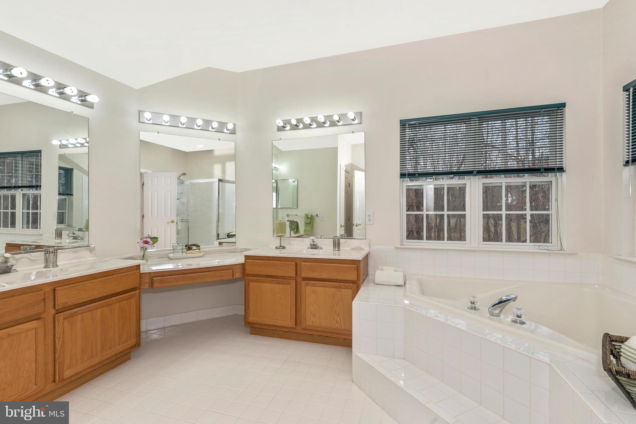 10824 Avonlea Ridge Place Damascus, MD 20872 - Photo 21 of 48 Master Bath