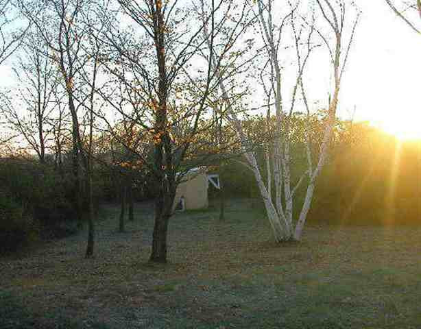 393 Rt 412 Westerlo, NY 12193 - Photo 2 of 4 Photo 2