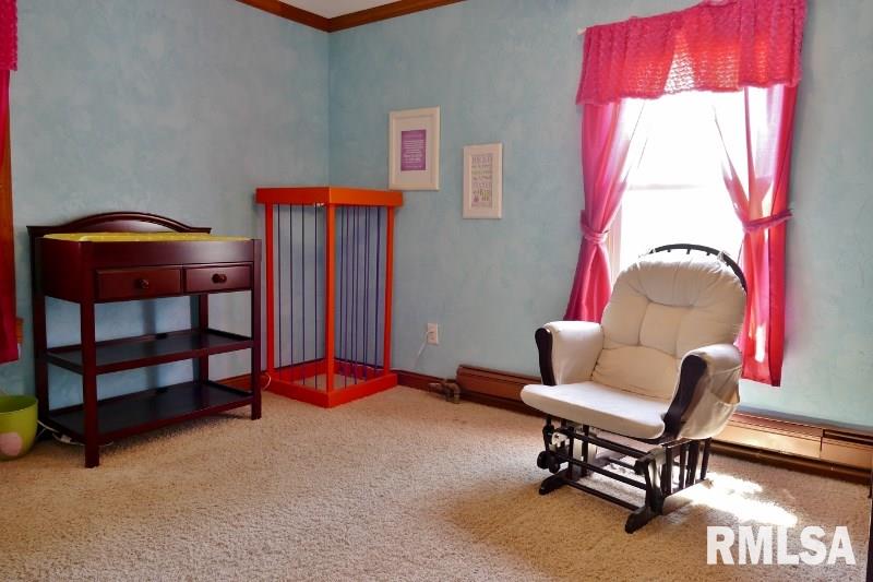 24710 Allentown Road Tremont, IL 61568 - Photo 17 of 33 Gallery Image 17