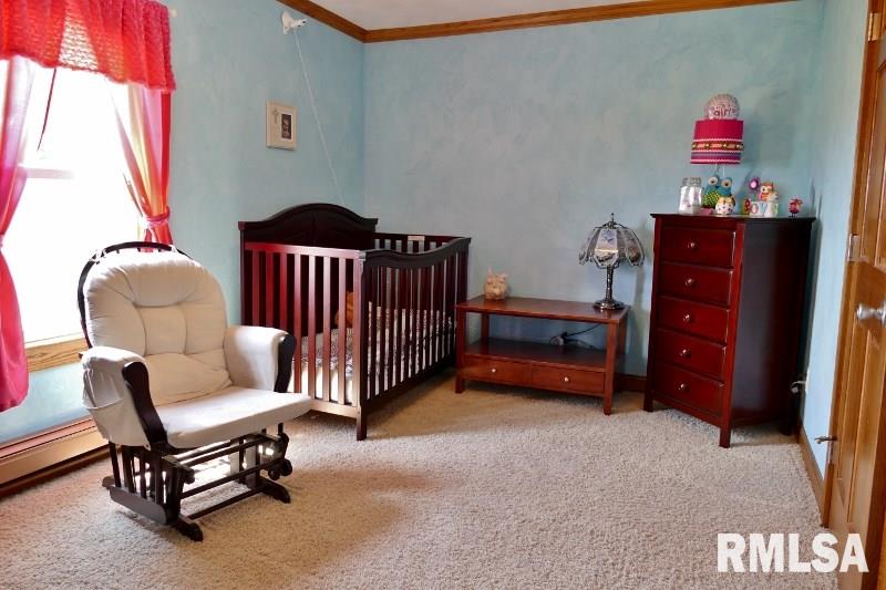 24710 Allentown Road Tremont, IL 61568 - Photo 18 of 33 Gallery Image 18