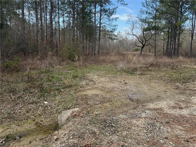 $30,000 | 107 Brahman Drive, Ragley, LA 70657