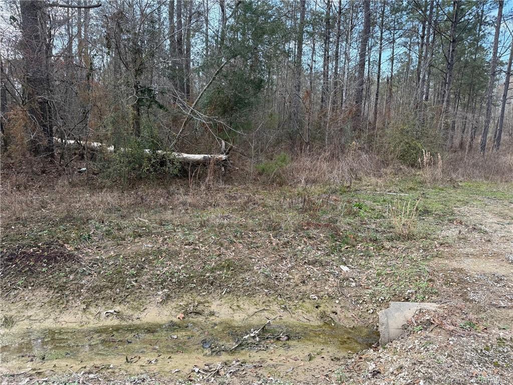 107 Brahman Drive Ragley, LA 70657 - Photo 2 of 5