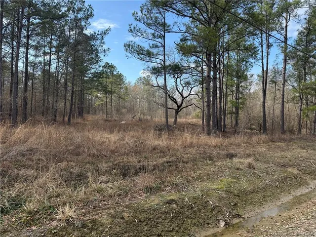 $30,000 | 107 Brahman Drive, Ragley, LA 70657