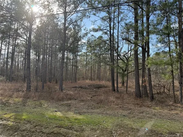 $27,500 | 107 Brahman Drive, Ragley, LA 70657