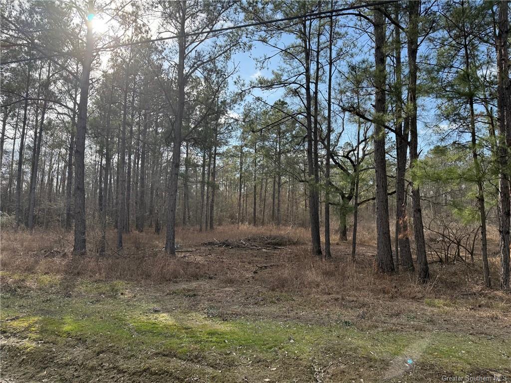 107 Brahman Drive Ragley, LA 70657 - Photo 4 of 5