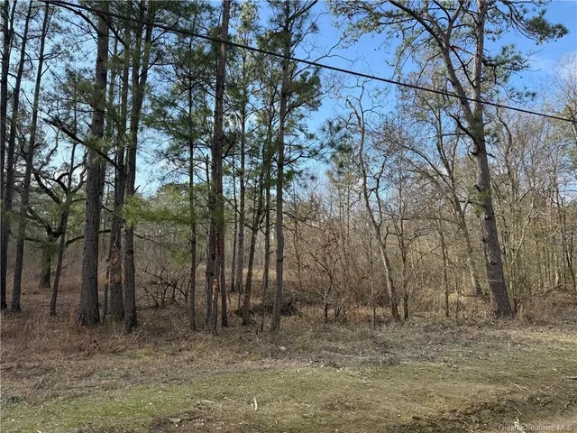 $30,000 | 107 Brahman Drive, Ragley, LA 70657