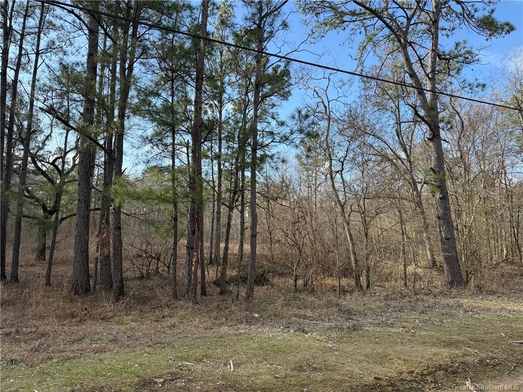 107 Brahman Drive Ragley, LA 70657 - Photo 5 of 5