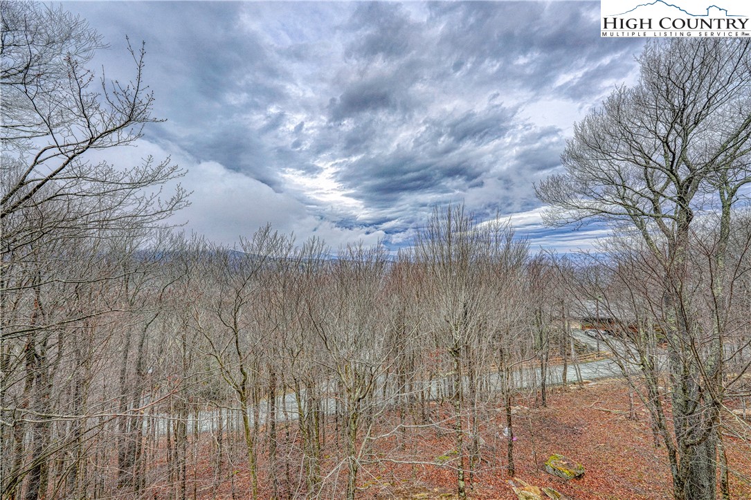 104 Whipporwill Way Road Beech Mountain, NC 28604 - Photo 35 of 45 Gallery Image 35