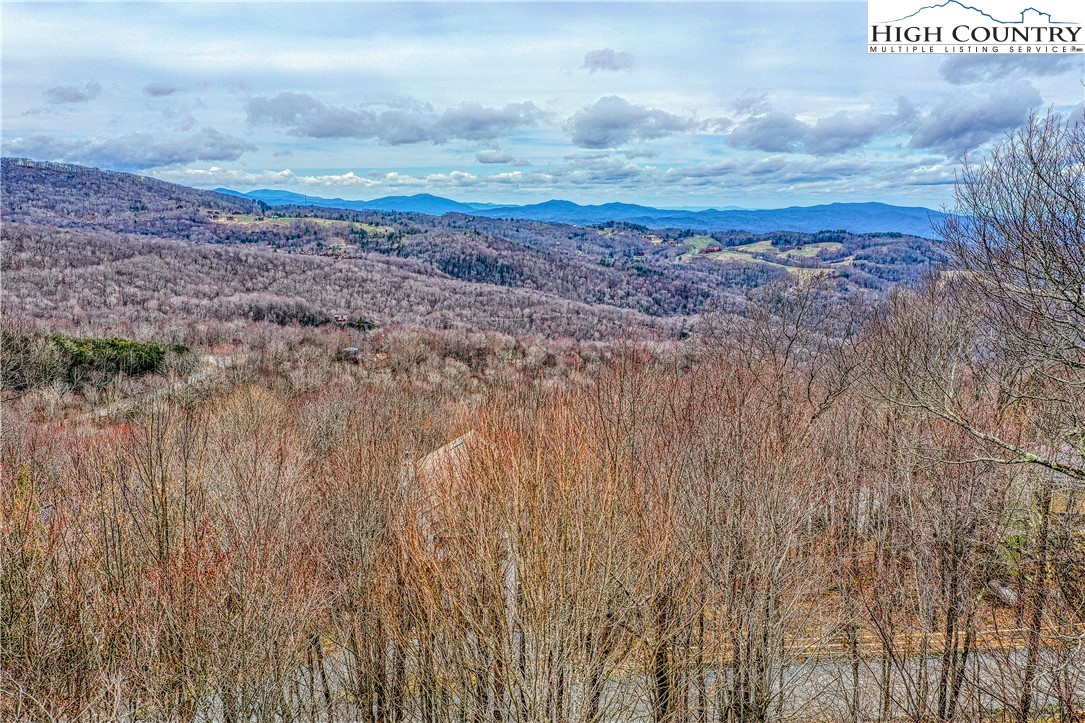 104 Whipporwill Way Road Beech Mountain, NC 28604 - Photo 4 of 45 Gallery Image 4